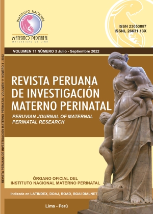 					Ver Vol. 11 Núm. 3 (2022): Revista Peruana de Investigación Materno Perinatal
				