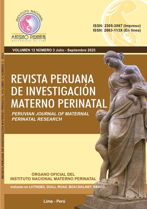 					Ver Vol. 12 Núm. 3 (2023): Revista Peruana de Investigación Materno Perinatal
				